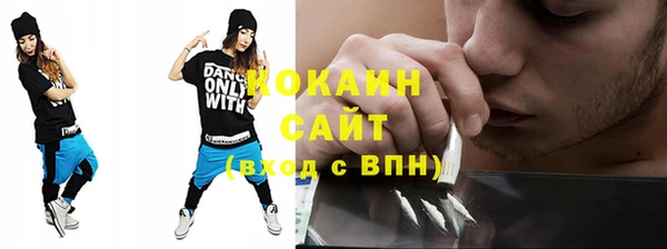 кокс Арсеньев