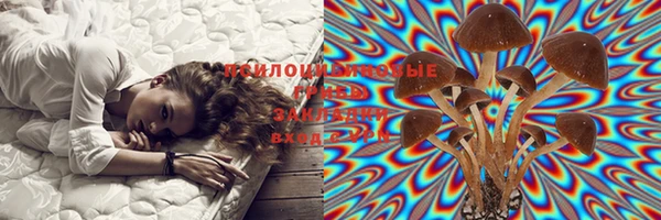 ECSTASY Аркадак