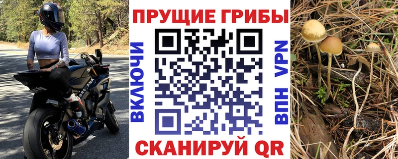 Галлюциногенные грибы мухоморы  Куйбышев 